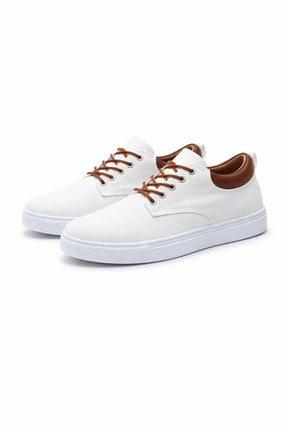 mens-canvas-trainers-fanshawe
